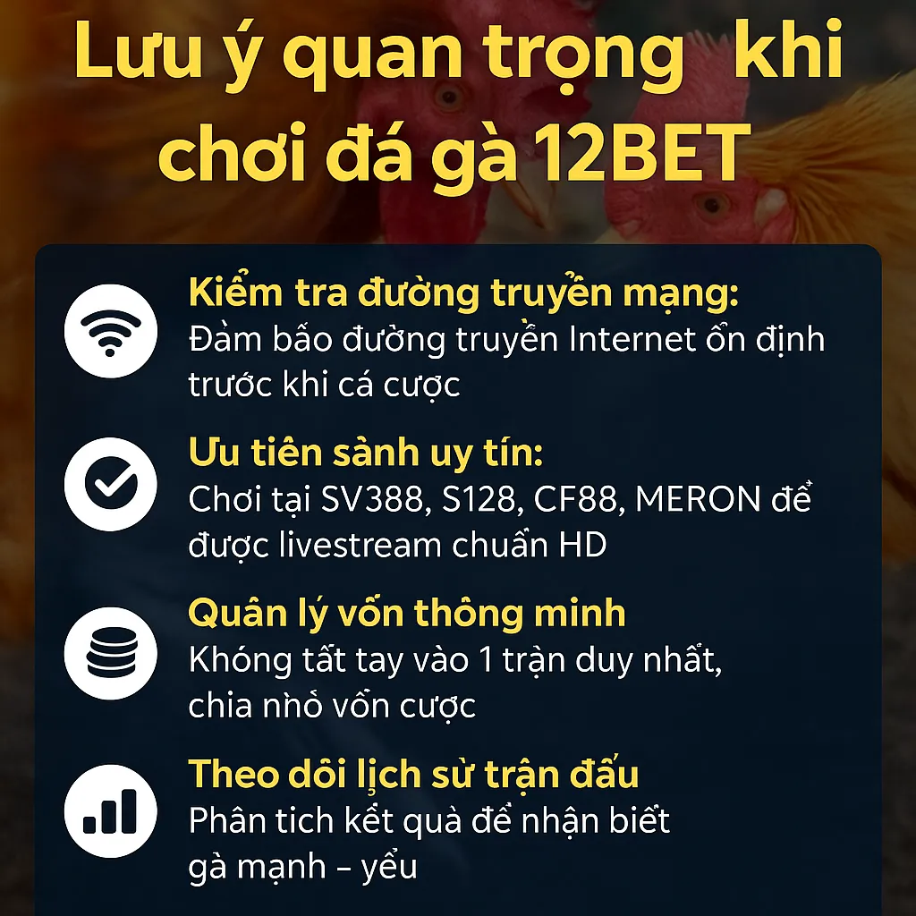 Lưu ý quan trọng khi chơi đá gà 12BET