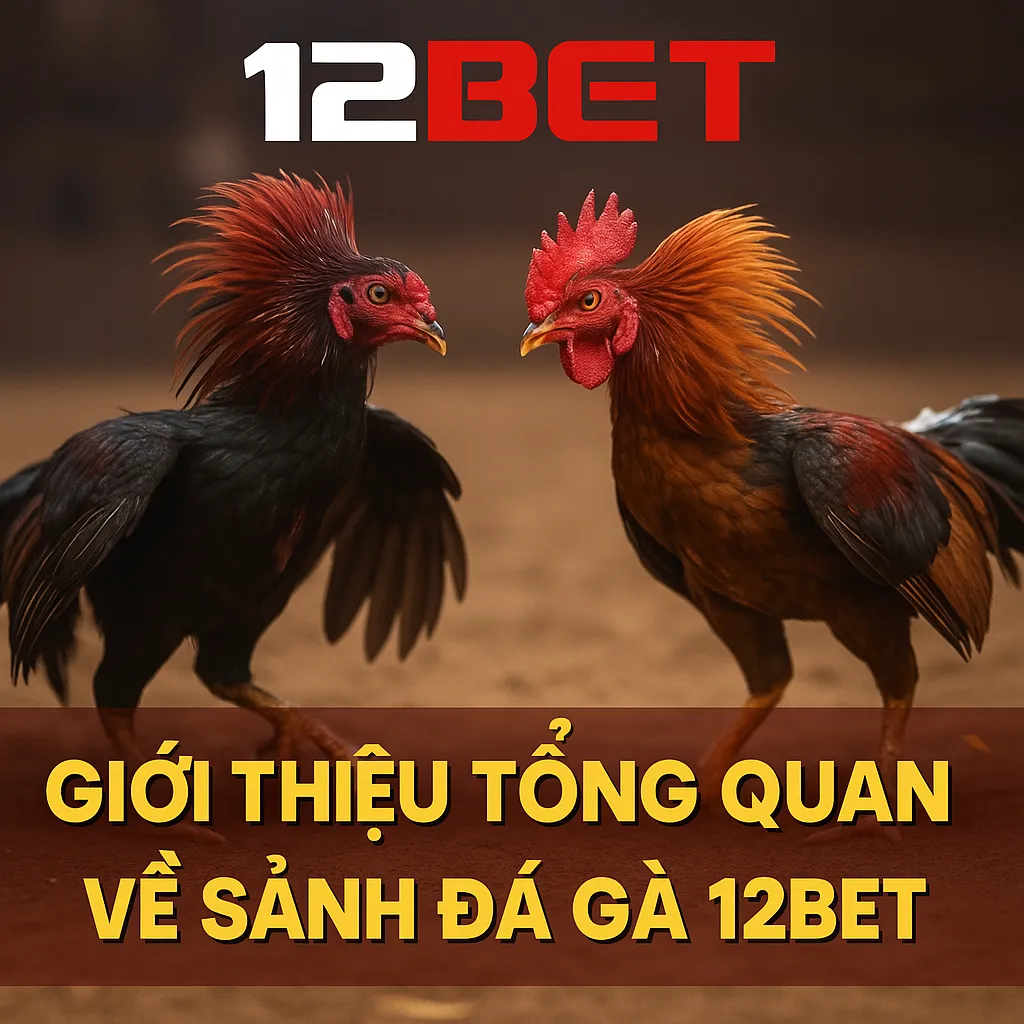 Giới thiệu tổng quan về sảnh đá gà 12BET